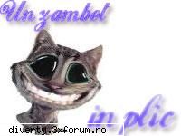 Teste de inteligente. - Un oltean si un moldovean stau de vorba. - La voi - --- GluMe....